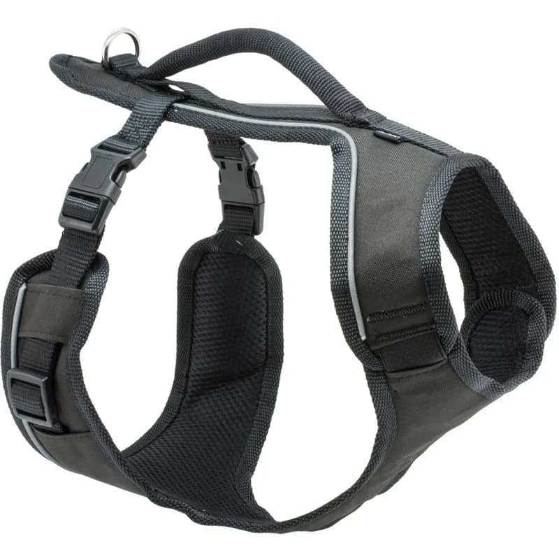 PetSafe EasySport