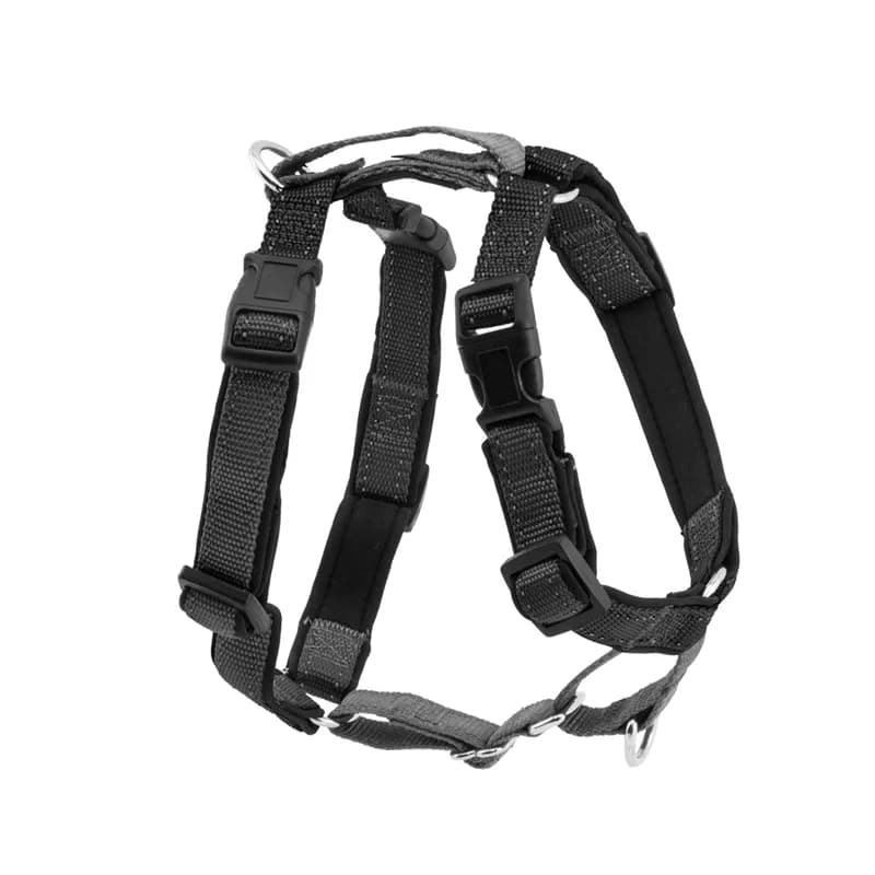 PetSafe 3 în 1